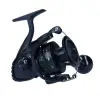 DAIWA 21 BG Black LT 8000 H ARK