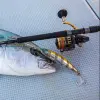 DAIWA 23 BG SW 5000D-CXH