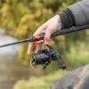 DAIWA 24 TDR 3012QD All Black