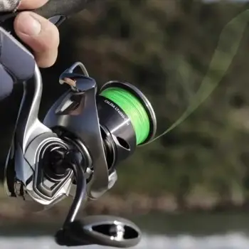 DAIWA 25 Caldia LT 4000-C