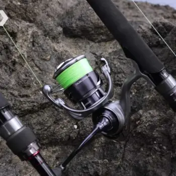DAIWA 25 Caldia LT 4000-CXH