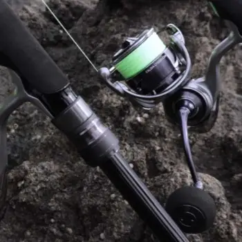 DAIWA 25 Caldia LT 5000-CXH