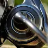 DAIWA 25 Ballistic HD LT5000D-CXH