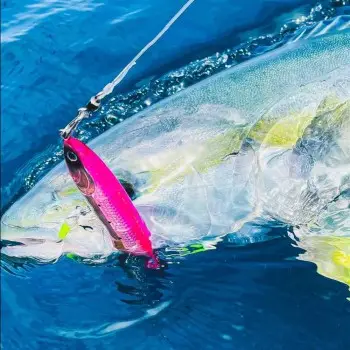 DAIWA Drift Flicker Laser Impact 110S 110mm 48g