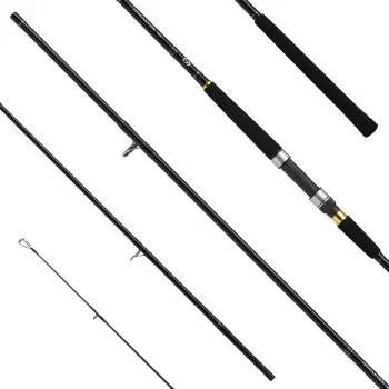 DAIWA 21 Jig Caster 100H-N 3.05m 30-100g