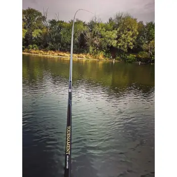 DAIWA Tournament AGS Limited 60 Regular Bolo 