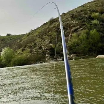 DAIWA 23 Tournament JAPAN Bolo LTD 7070 7m