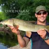 DRENNAN Specimen Plus Hooks