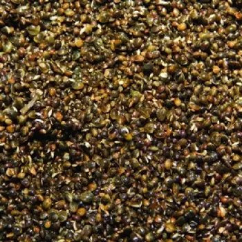 DYNAMITE BAITS Frenzied Hempseed Natural Can