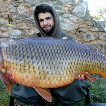 DYNAMITE BAITS The Source Boilies 26mm 350g