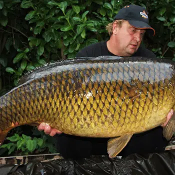 DYNAMITE BAITS Hot Fish and GLM Foodbait Pop Up