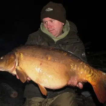 DYNAMITE BAITS Mulberry and Plum Foodbait Pop Up 15mm