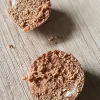 DYNAMITE BAITS CompleX-T Foodbait Pop Up