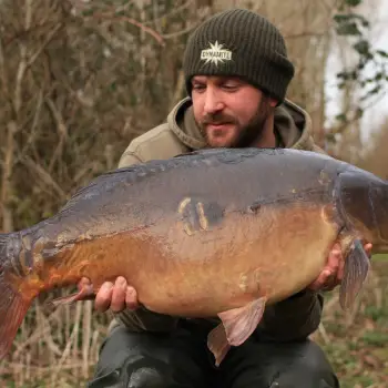 DYNAMITE BAITS CompleX-T Concentrate Dip 100ml