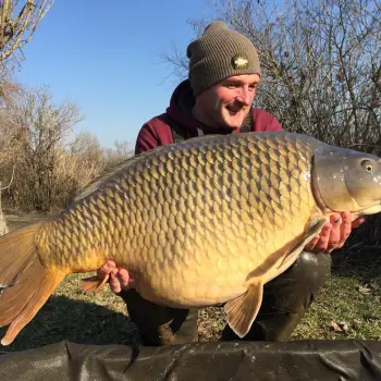 DYNAMITE BAITS Hit n Run - Wafters - Bright White 14mm