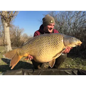 DYNAMITE BAITS Hit n Run - Wafters - Bright White 14mm