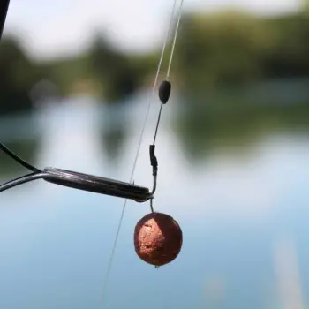 DYNAMITE BAITS Spicy Shrimp and Prawn Boilies 1.8kg