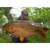 DYNAMITE BAITS Robin Red Boilies 1.8kg