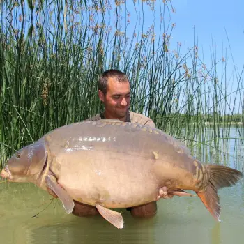 DYNAMITE BAITS The Source Hard Hookbaits 20mm