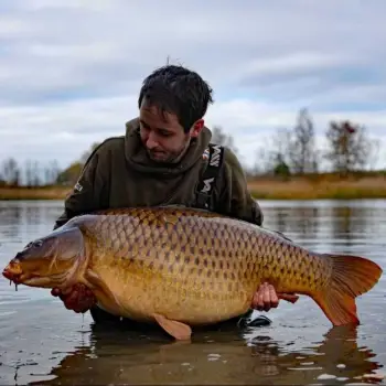 DYNAMITE BAITS Sweet Tiger and Corn Hard Hookbaits 20mm