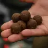 DYNAMITE BAITS Krill and Crayfish Carp Tec Boilies 20mm 1.8kg