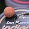 DYNAMITE BAITS Ian Russells Pop-Ups Indian Spice 12mm