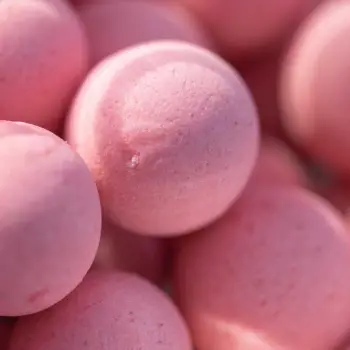 DYNAMITE BAITS N-Ticers Shellfish Pop-Up 15mm