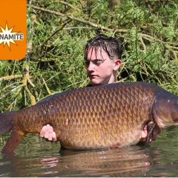 DYNAMITE BAITS Monster Tiger Nut Stick Mix 1kg