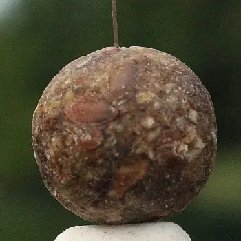 DYNAMITE BAITS Monster Tiger Nut White Fluro Pop-Ups and Dumbells