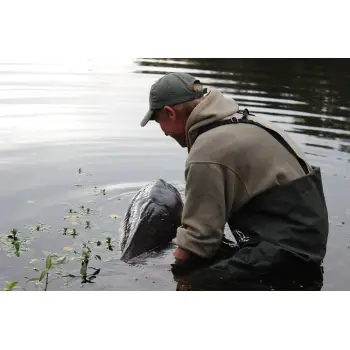 DYNAMITE BAITS Red-Amo Pink Fluro Pop-Up