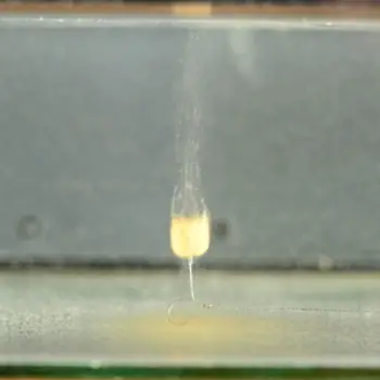 DYNAMITE BAITS Super Fishmeal Slow Sinking Nuggets