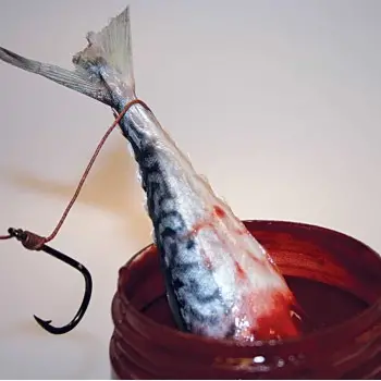 DYNAMITE BAITS Squid Liver Catfish Dip 270ml