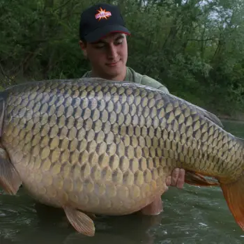 DYNAMITE BAITS The Crave Concentrate Dip 100ml