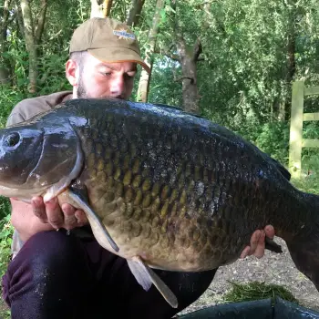 DYNAMITE BAITS Coconut Cream Fluro Pop-Up 20mm