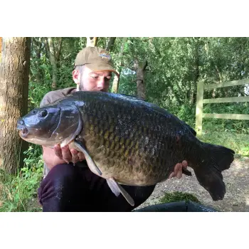 DYNAMITE BAITS Coconut Cream Fluro Pop-Up 20mm