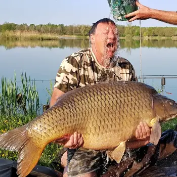 DYNAMITE BAITS Squid and Octopus Boilies 1kg