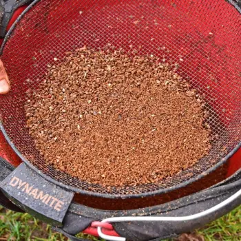 DYNAMITE BAITS Groundbait - Maggot Riddle
