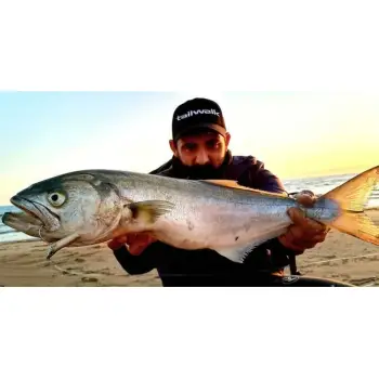 FIIISH Black Eel No3 - 15cm