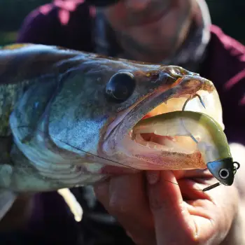 FIIISH Black Minnow No4 Combo Jig Head 60g