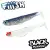 Barracuda Blue +  White Red Head - - КОД : BM3156 