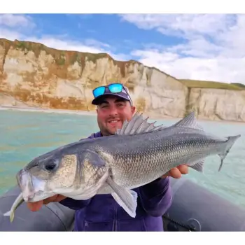 FIIISH Crazy Sand Eel No3