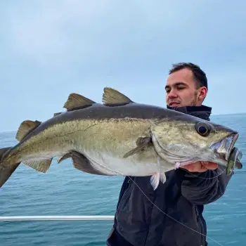 FIIISH Crazy Sand Eel 180 Double Combo - 18cm 55g