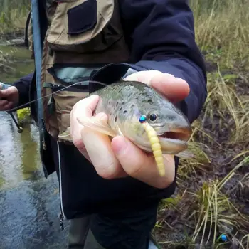 FISHUP Morio 1.2 inch