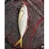 FISHUP Aji Triple Stick 1.9 inch