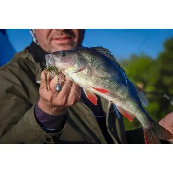 FISHUP Shrimp 4.5 inch