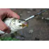 FISHUP Flit 4 inch