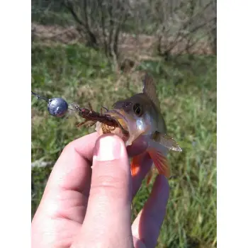 FISHUP Flit 1,5 inch