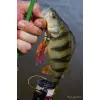 FISHUP Real Craw 2 inch