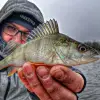 FREESTYLE Skillz V2 Micro Lure 210 1-8g