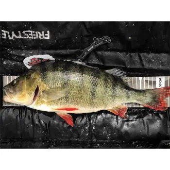 FREESTYLE Ruler - 120cm